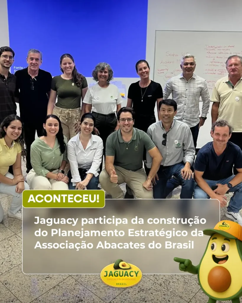 Construção do Planejamento Estratégico da Associação Abacates do Brasil